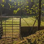 Holiday home Alma Toscana *