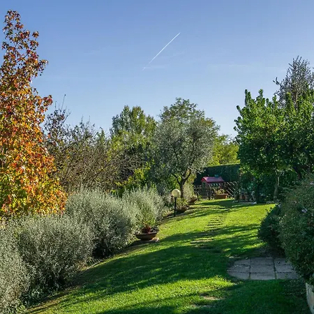 Alma Toscana Pescia
